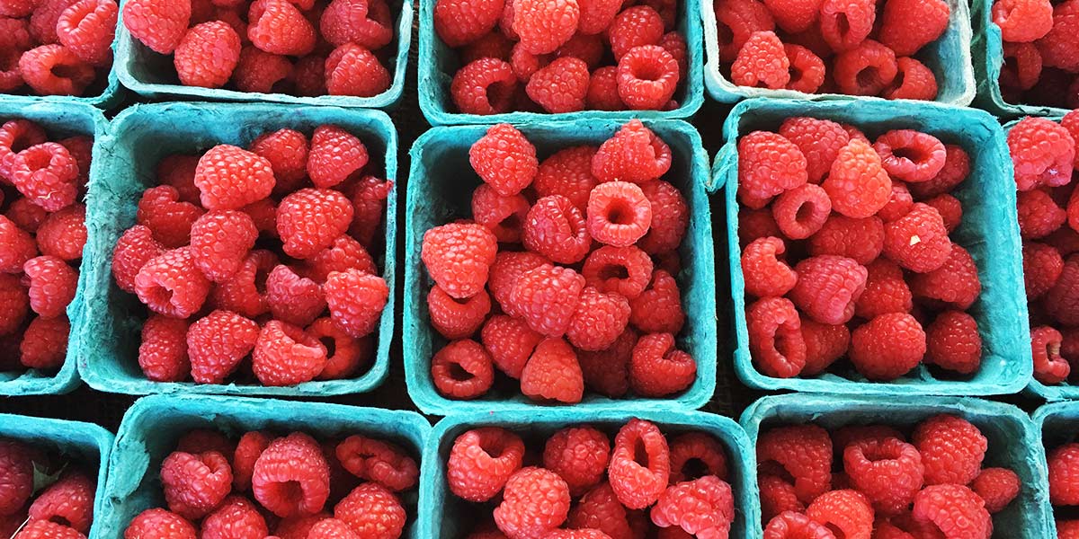 market_summer market_summer