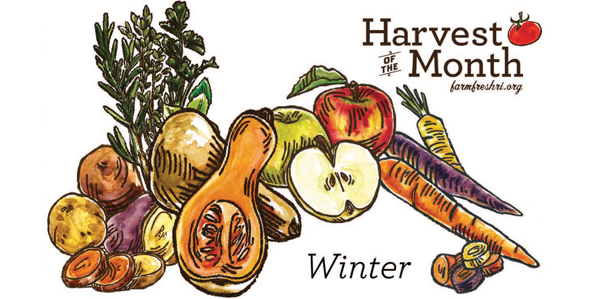 HoM-Winter HoM-Winter