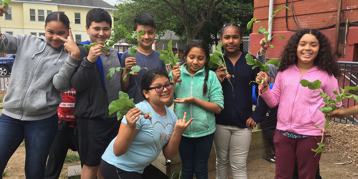 Farm To School Community Education
