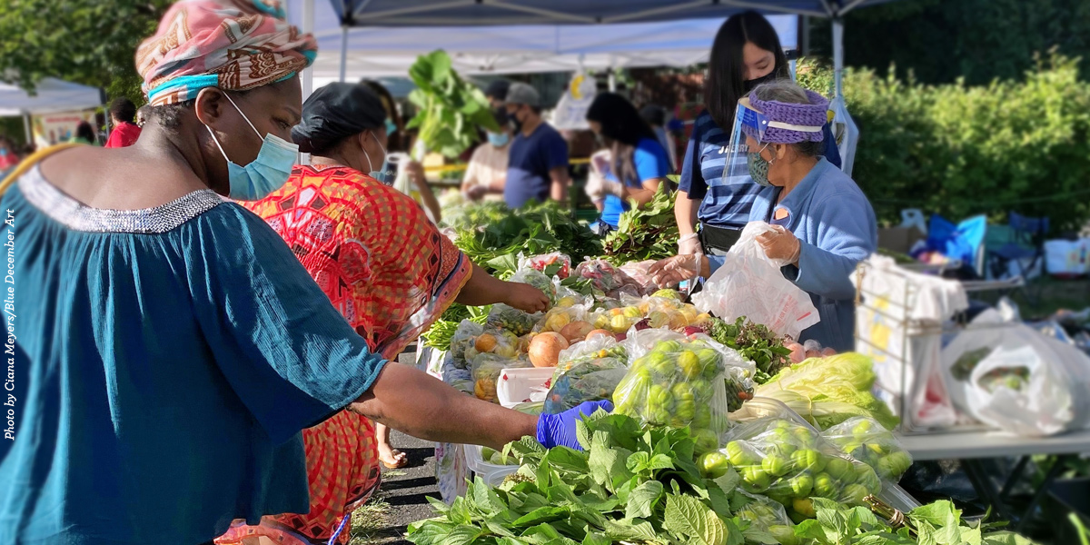 23+ Savage Farmers Market ReighanYoan