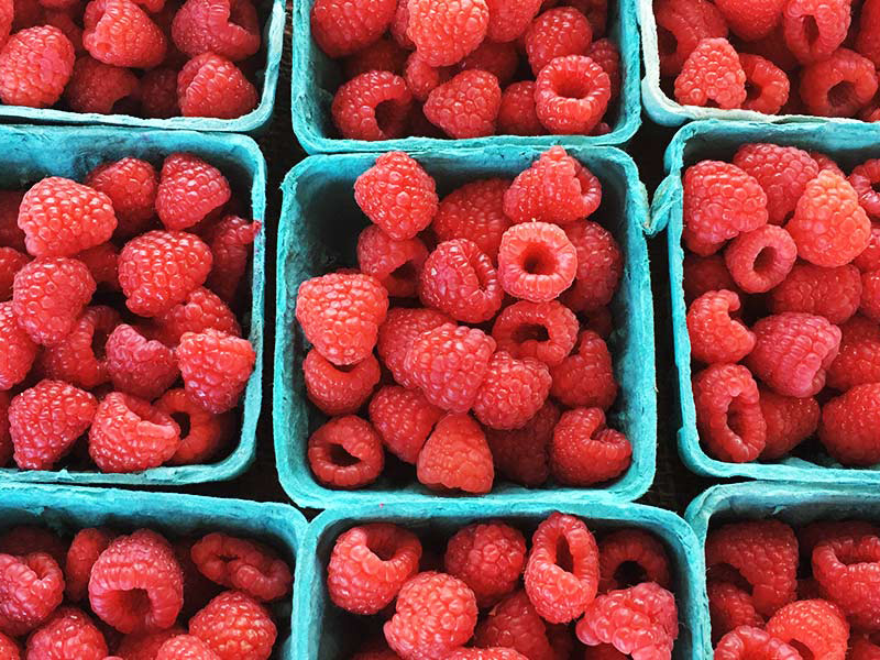 summer markets