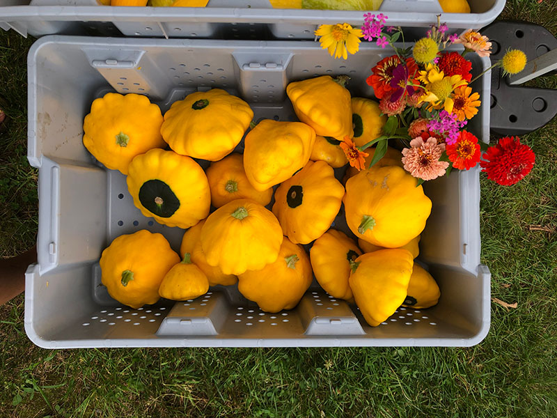 summer markets